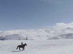 Visions du Réel review: 5 Dreamers and a Horse by Aren Malakyan & Vahagn Khachatryan