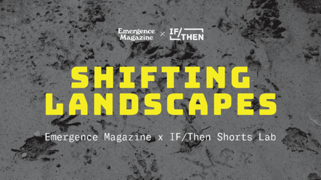 IF_Then x Emergence Image-1