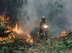 Movies That Matter review: The Territory by Alex Pritz