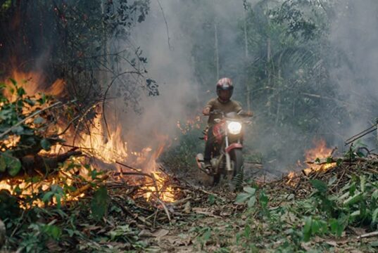 Movies That Matter review: The Territory by Alex Pritz