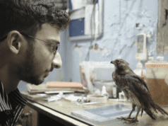 Cannes review: All That Breathes by Shaunak Sen