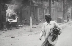 Cannes Special Screening: The Natural History of Destruction by Sergei Loznitsa