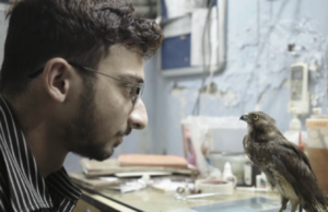 All That Breathes wins BFI LFF Doc Competition