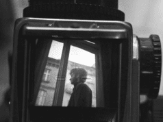 Krakow Film Festival Industry: Polish DOCS TO START report