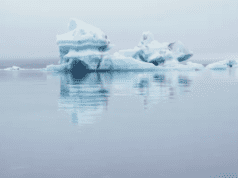 Reykjavik (RIFF) calls for Impact of the North projects