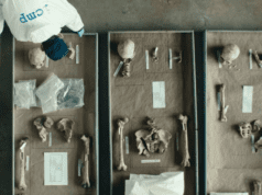 Locarno FF: The DNA of Dignity by Jan Baumgartner