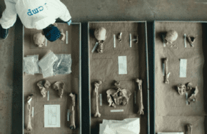 Locarno FF: The DNA of Dignity by Jan Baumgartner