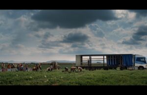AJB Doc International Competition: A Parked Life by Peter Triest