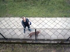 Oscar FYC interview: The Balcony Movie by Paweł Łoziński
