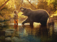 Oscar FYC: The Elephant Whisperers by Kartiki Gonsalves