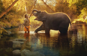 Oscar FYC: The Elephant Whisperers by Kartiki Gonsalves
