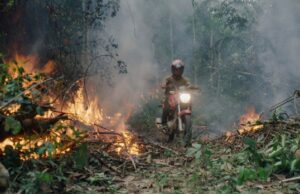 Oscar FYC interview: The Territory by Alex Pritz
