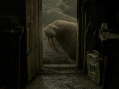 Oscars FYC: Haulout by Evgenia Arbugaeva, Maxim Arbugaev
