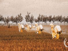 Kenyan project Fight For Food wins #GlobalPitch23 Award