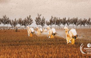 Kenyan project Fight For Food wins #GlobalPitch23 Award