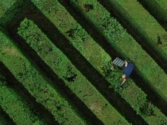 Hot Docs Changing Face of Europe: After Work by Erik Gandini