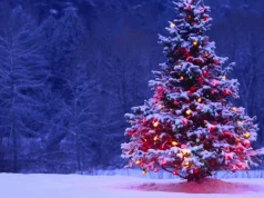 EFM Rough Cut Presentation: Arturas Jevdokimovas’ Life and Death of A Christmas Tree