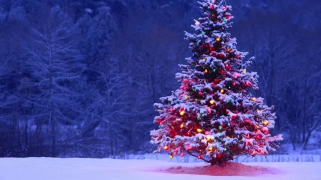 Christmas-Tree-Snow-drawing-1080x675-1.jpeg