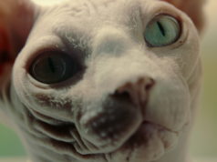 Thessaloniki Closing Film: My Pet and Me by Johan Kramer