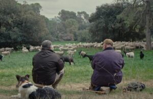 Dokumentale Germany premiere: Fauna by Pau Faus