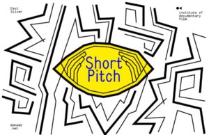 Short Pitch Program at Millennium Docs: deadline April 13