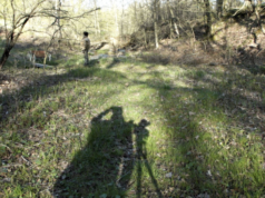 VdR Int’l Competition: While the Green Grass Grows (Parts 1 and 6) by Peter Mettler