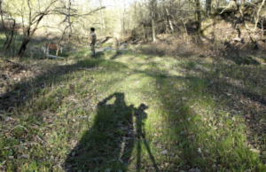 VdR Int’l Competition: While the Green Grass Grows (Parts 1 and 6) by Peter Mettler