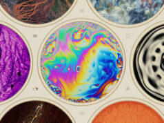 Sunny Side Science pitch: Phenomena by Josef Gatti