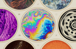 Sunny Side Science pitch: Phenomena by Josef Gatti
