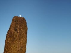 Sheffield First Feature Comp: A Year In A Field by Christopher Morris