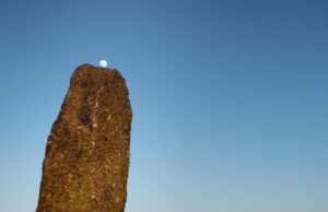 Sheffield First Feature Comp: A Year In A Field by Christopher Morris