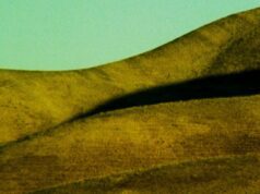 Open City Doc Fest announces In Focus programmes