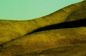Open City Doc Fest announces In Focus programmes