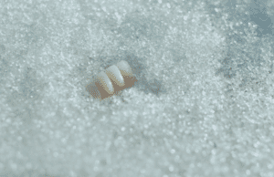 Karlovy Vary Special Screening: Smiling Georgia by Luka Beradze