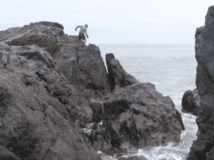 Locarno Critics Week: Les Premiers Jours by Stéphane Breton