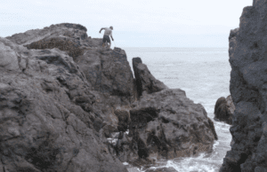 Locarno Critics Week: Les Premiers Jours by Stéphane Breton