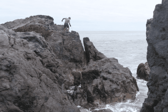 Locarno Critics Week: Les Premiers Jours by Stéphane Breton