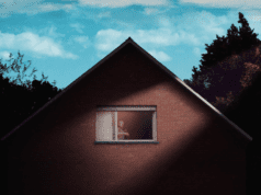 CONNEXT series project: The Mysterious Case of the Belgian Triangle by Bram Conjaerts
