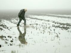 IDFA Signed review: Gerlach by Aliona van der Horst, Luuk Bouwman