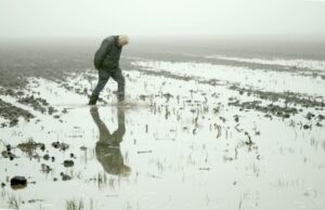 IDFA Signed review: Gerlach by Aliona van der Horst, Luuk Bouwman