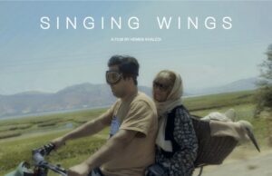 FIPADOC pitch: Singing Wings by Hemen Khaledi