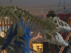 CPH:DOX SCIENCE review: The Bones by Jeremy Xido