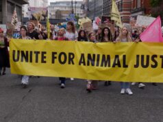 BDE interview: I Could Never Go Vegan by Thomas Pickering
