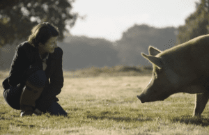 MetFilm set for June 14 release of Wilding