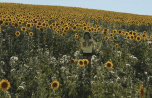 Hot Docs/EFP Changing Face of Europe review: Such a Resounding Silence by Emmanuelle Béart, Anastasia Mikova
