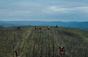 European Film Awards review: The Landscape and the Fury by Nicole Vögele