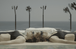 Ji.hlava IDFF: Czech Joy in the Spotlight
