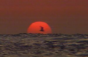 Venice FF Out of Competition: Israel-Palestine On Swedish TV 1958-1989 by Goran Hugo Olsson