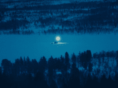 Nordisk Panorama Forum: Lights by Gunnar Hall Jensen