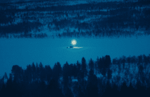 Nordisk Panorama Forum: Lights by Gunnar Hall Jensen